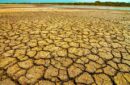 Indikator Oseanografi menunjukkan El Nino akan menguat pada akhir 2026. Foto: Magnific