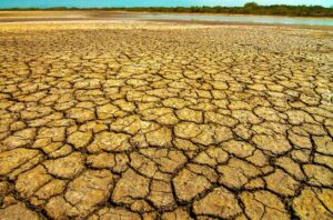 Indikator Oseanografi menunjukkan El Nino akan menguat pada akhir 2026. Foto: Magnific