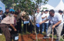 KLH targetkan penanaman 2 miliar pohon di seluruh Indonesia. Foto: Dini J. Wardani