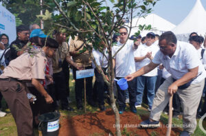 KLH targetkan penanaman 2 miliar pohon di seluruh Indonesia. Foto: Dini J. Wardani