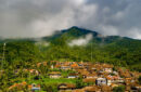 ilustrasi konservasi. Foto: Pexels