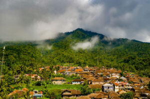 ilustrasi konservasi. Foto: Pexels