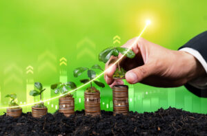 RUU PFII berpotensi hambat investasi hijau ke Indonesia. Foto: Magnific