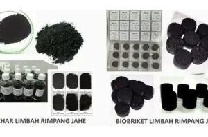 Peneliti BRIN memanfaatkan limbah jahe menjadi energi alternatif. Foto: BRIN