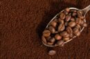Ilustrasi kopi gayo. Foto: Magnific