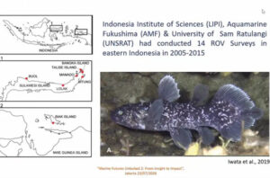 Peneliti menemukan 18 ikan purba Coelacanth di perairan Pulau Talise. Foto: BRIN