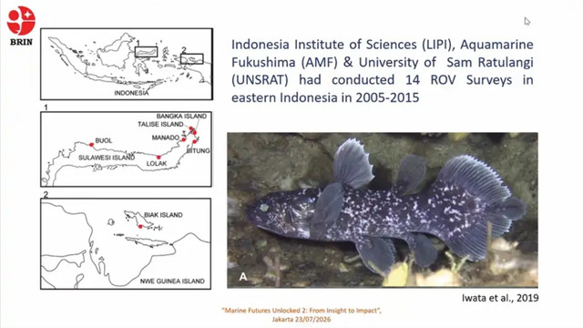 Peneliti Temukan 18 Ikan Purba Coelacanth di Perairan Pulau Talise