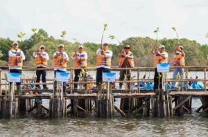 KLH menanam sejuta bibit mangrove serentak di 37 provinsi Indonesia. Foto: KLH