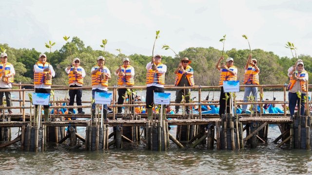 KLH Tanam Sejuta Bibit Mangrove Serentak di 37 Provinsi Indonesia