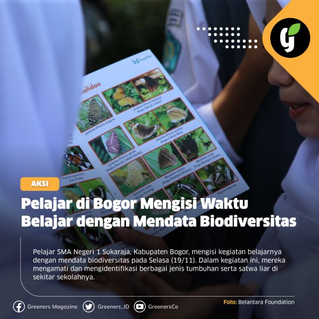 Kegiatan pendataan keanekaragaman hayati ini merupakan bagian dari implementasi program Pengabdian Kepada Masyarakat (PKM) oleh dosen dan mahasiswa Universitas Pakuan. Program ini bertujuan untuk meningkatkan literasi siswa tentang keanekaragaman hayati Indonesia di SMA Negeri 1 Sukaraja.

Sebanyak 87 siswa mengikuti kegiatan pengamatan biodiversitas ini. Mereka terbagi dalam 10 kelompok. Setiap kelompok memiliki seorang pendamping. Pendamping tersebut akan membantu siswa mengamati satwa serta mengidentifikasi berbagai jenis tumbuhan dan satwa liar yang berhasil mereka temukan.

Detail mengenai hal ini dapat kamu baca di rubrik aksi www.greeners.co!

#aksi #biodiversitas #observasi #tumbuhan #satwaliar #greeners #greenersco #beinformedandlovetheearth